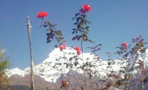 Village tourism in Nepal